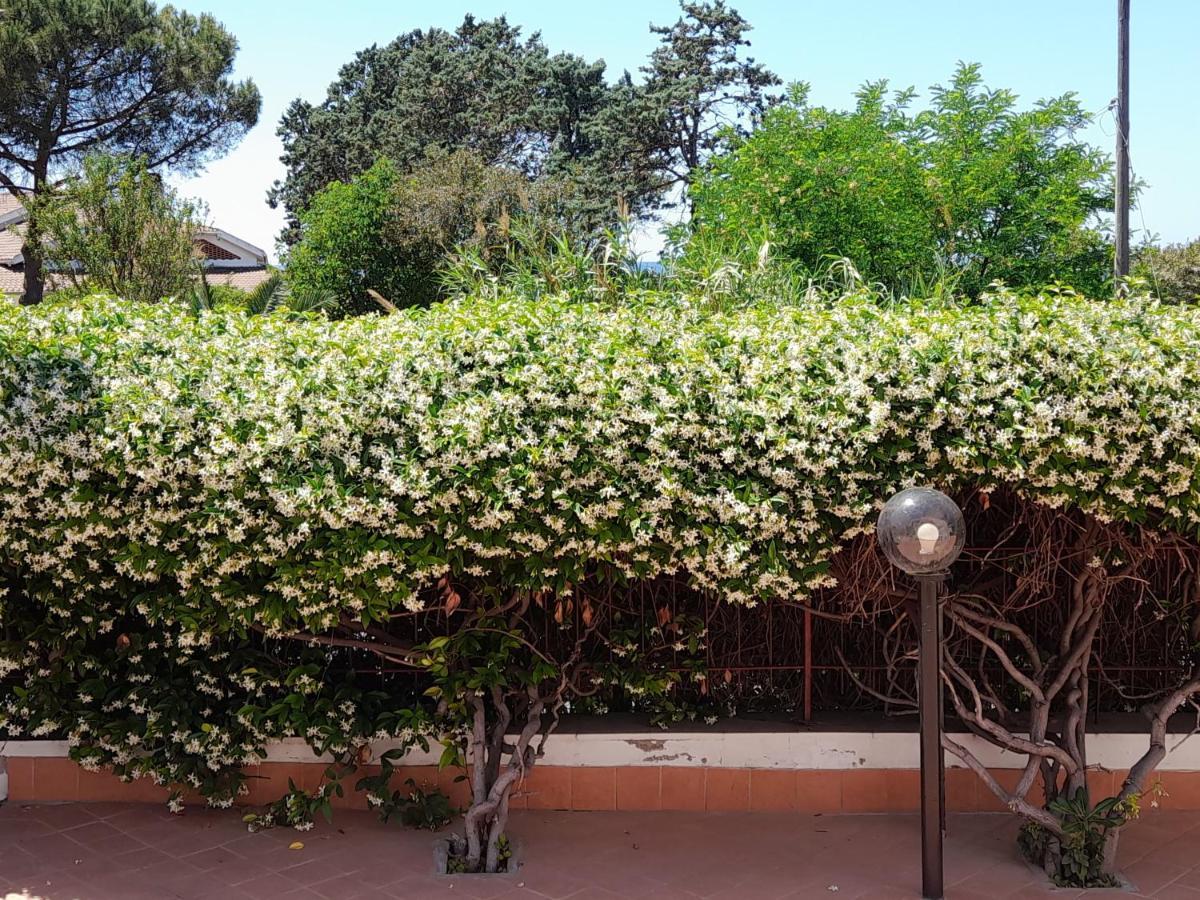 Guest House Al Mare Civitavecchia Eksteriør bilde